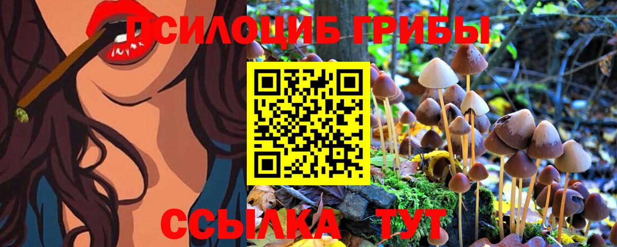 Галлюциногенные грибы прущие грибы  Галлюциногенные грибы Psilocybine cubensis  Вход с VPN  Торжок 