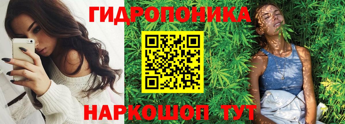 Марихуана SATIVA & INDICA  Канабис Bruce Banner  Торжок  Канабис ГИДРОПОН  Вход с VPN  Конопля OG Kush 